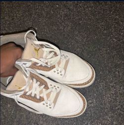 Palomino 3’s