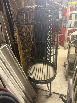 Bird Cage