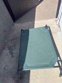 Dog bed raised