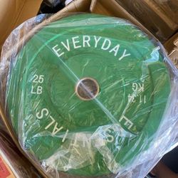 A Pair 25 Pounds Bumper Weights A Dollar A Pound