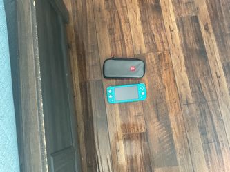 Nintendo switch lite with case
