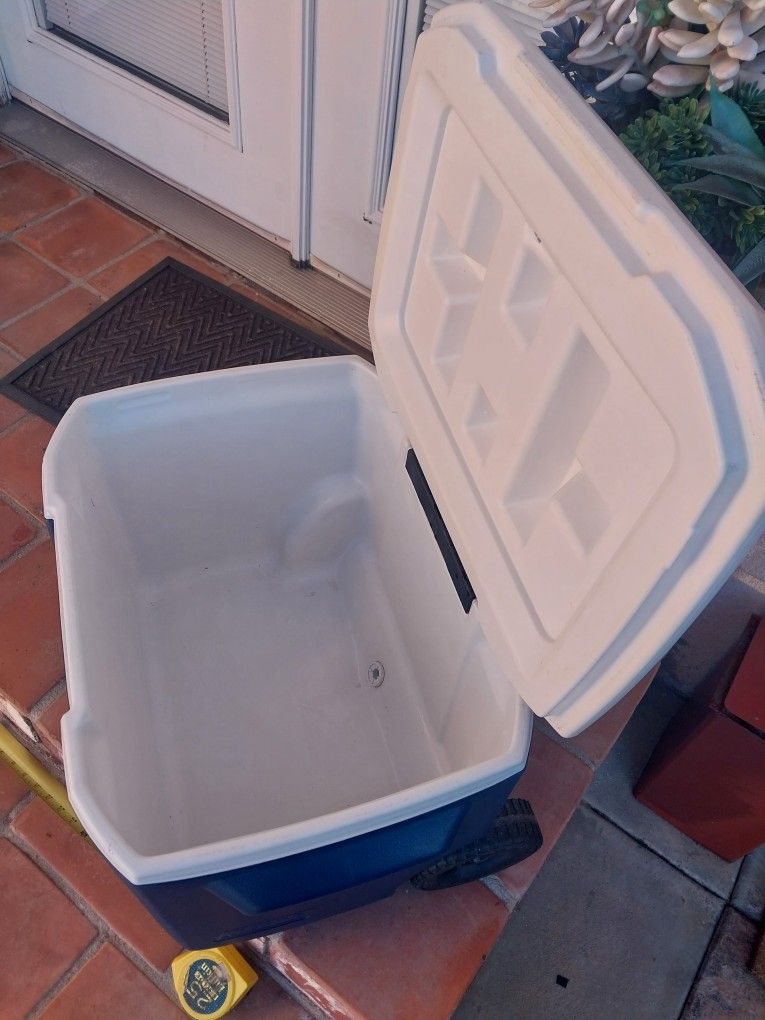 50 QT COLMAN COOLER EXCELLENT CONDITION 