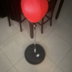 Boxing Bag