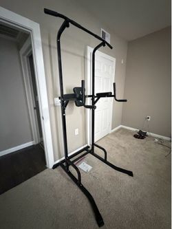 Essentially Brand New Pull-up Bar and Dip Station