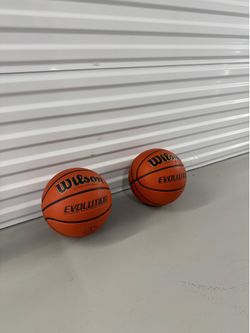 Evolution indoor balls
