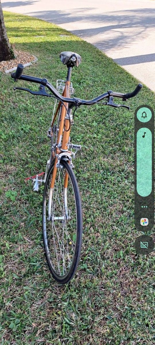 Bortolamie Road Bike 