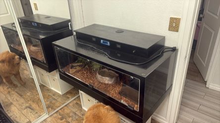 120 gal Snake Tank