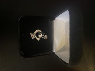 Miami Dolphins Charm