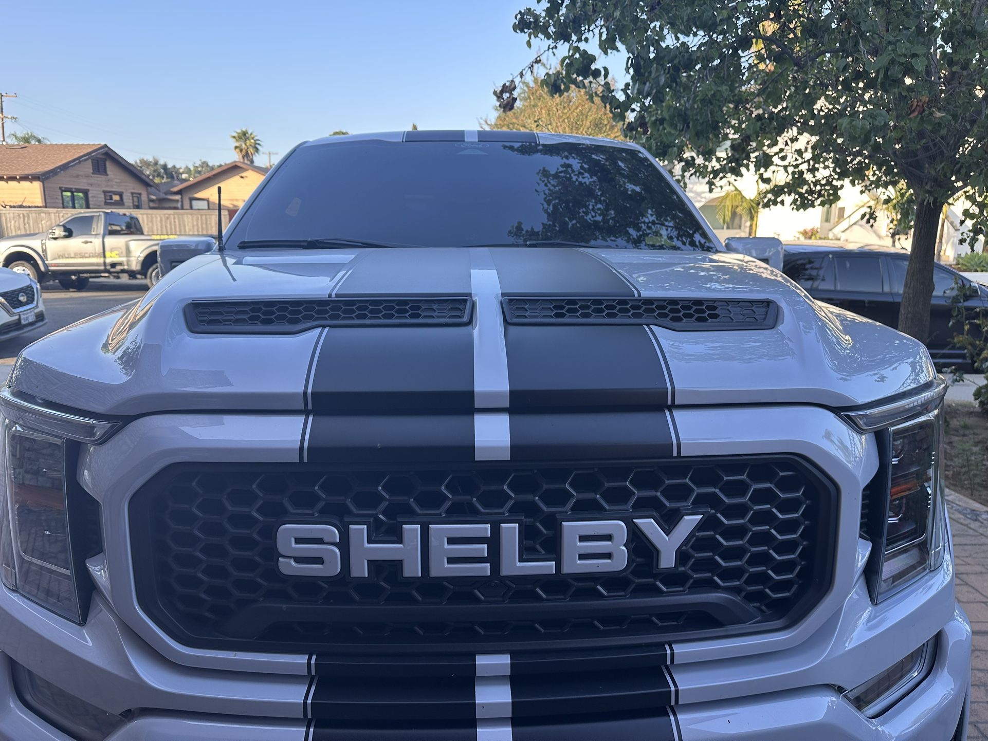2021 Shelby F150 OEM Hood