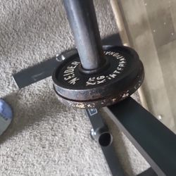 5.5lb Olympic Weights 