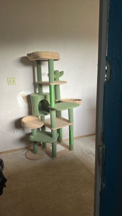 Cat tree (5Ft) never used