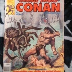 SAVAGE SWORD OF CONAN #24 1977 MAGAZINE VF/NM
