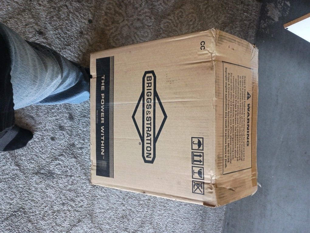 Briggs & Stratton 9.50 HP Motor