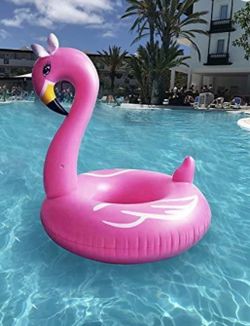 Five (5) Inflatable Flamingo, Quantity of Five (5)