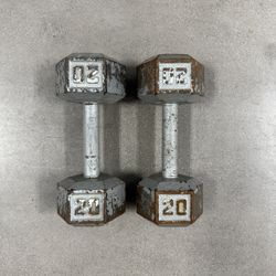 20lb Dumbbells