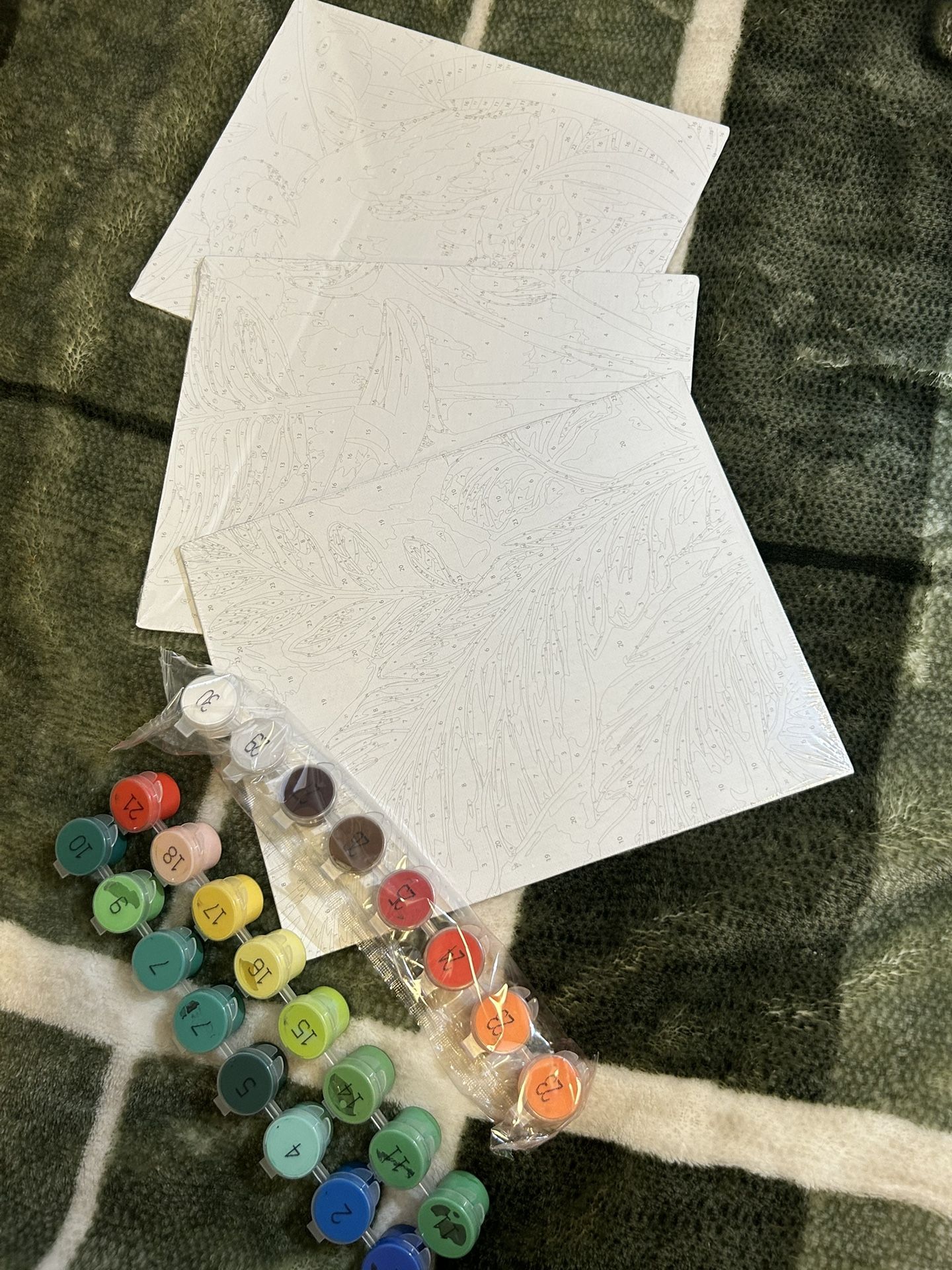paint by number canvas