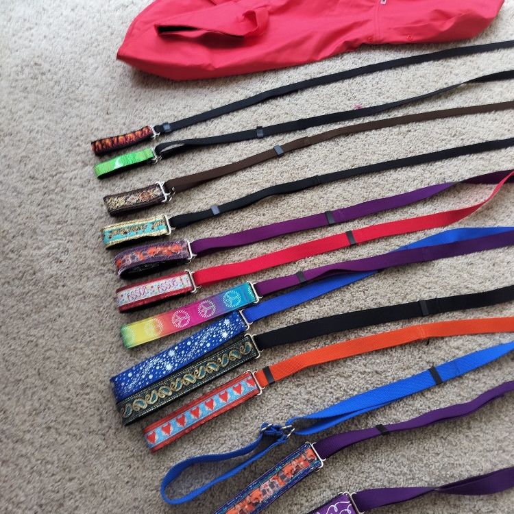 Lot's of Dog 🐕 Leashes And 1doggy Rain RED 🌧️ Coat 