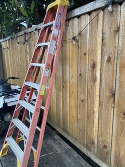 Ladder Werner 8 Ft 