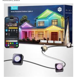 Goove Lights 100 Feet ( Black)