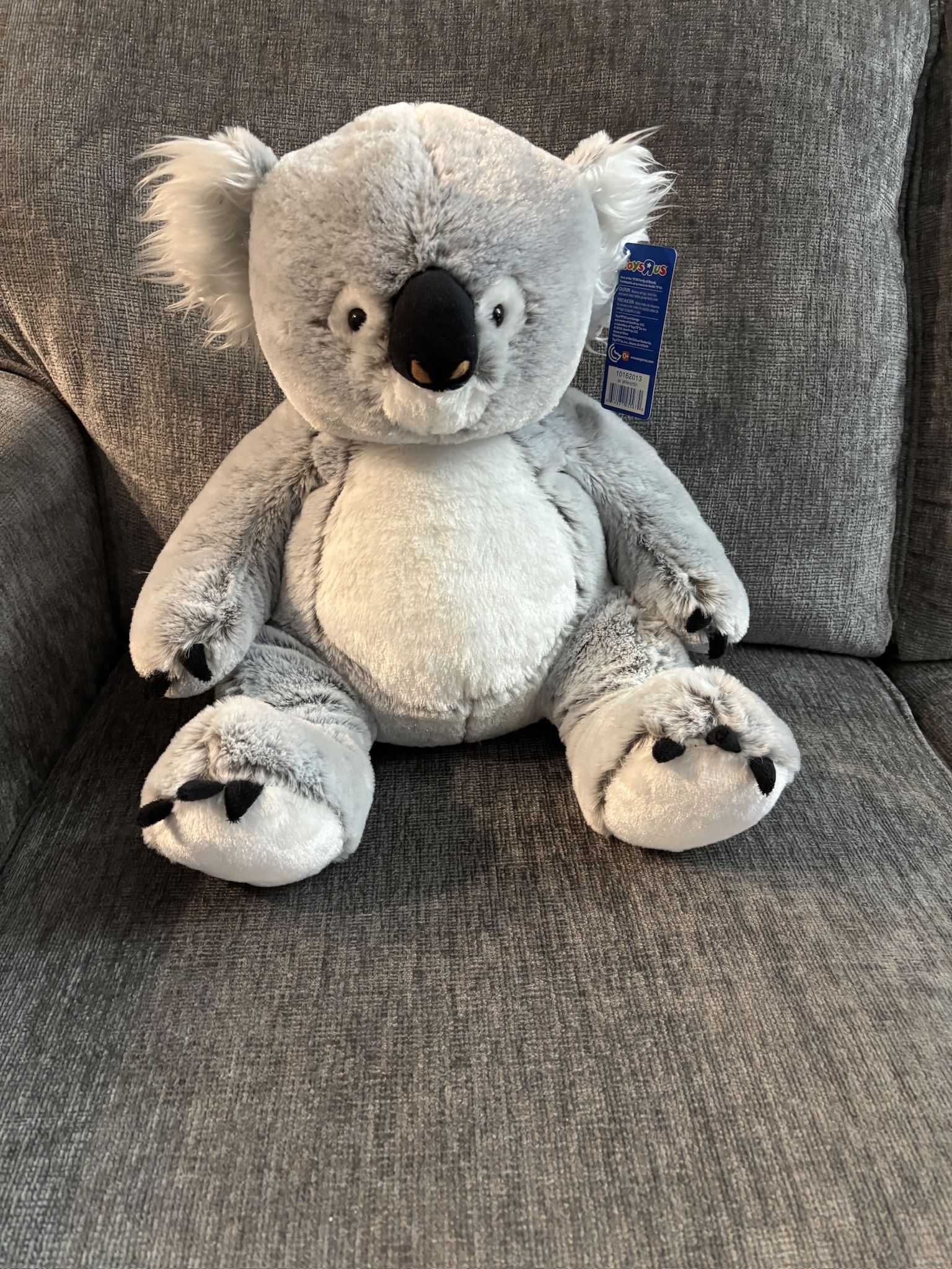 $20 Koala Toys “R” Us NWT 2013 15H 14 W What Did You Want Plush Stuffed Animal