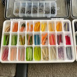 Trout Fisherman’s Dream