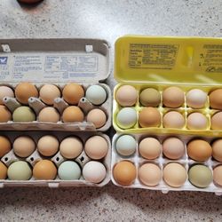 FRESH Free Range Non Gmo Eggs