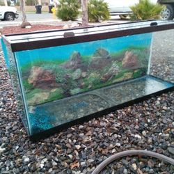 Aquarium With Light And Pumps