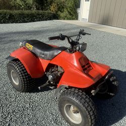1983 Suzuki Quad