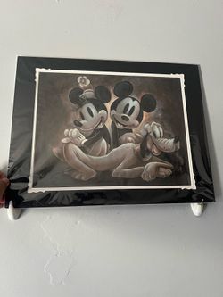 Disney certified portrait