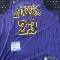 autographed lebron james 