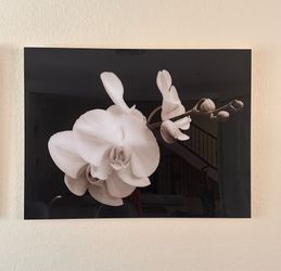 Monochrome Wall plexiglass  Art  - 1-Piece Living Room Wall Decor