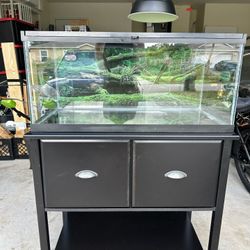 47gal Reptile Tank Set Up