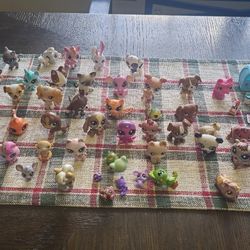 Littlest Pet Shop Lot – 60+ Figures & Accessories (Used)