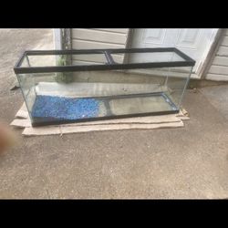 55 Gallon Fish Tank