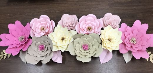 Giant paperflower Backdrop