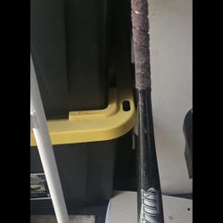 Baseball Bats 