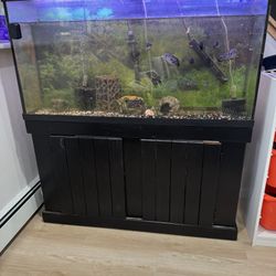 Fish tank And Stand 