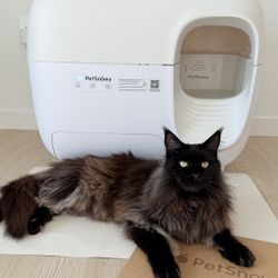 Automatic cat Litter Box