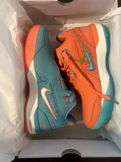 Nike Zoom LeBron Size 13