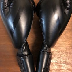 Boxing Gloves (Like New)