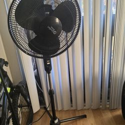 Fan