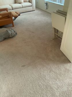 Carpet