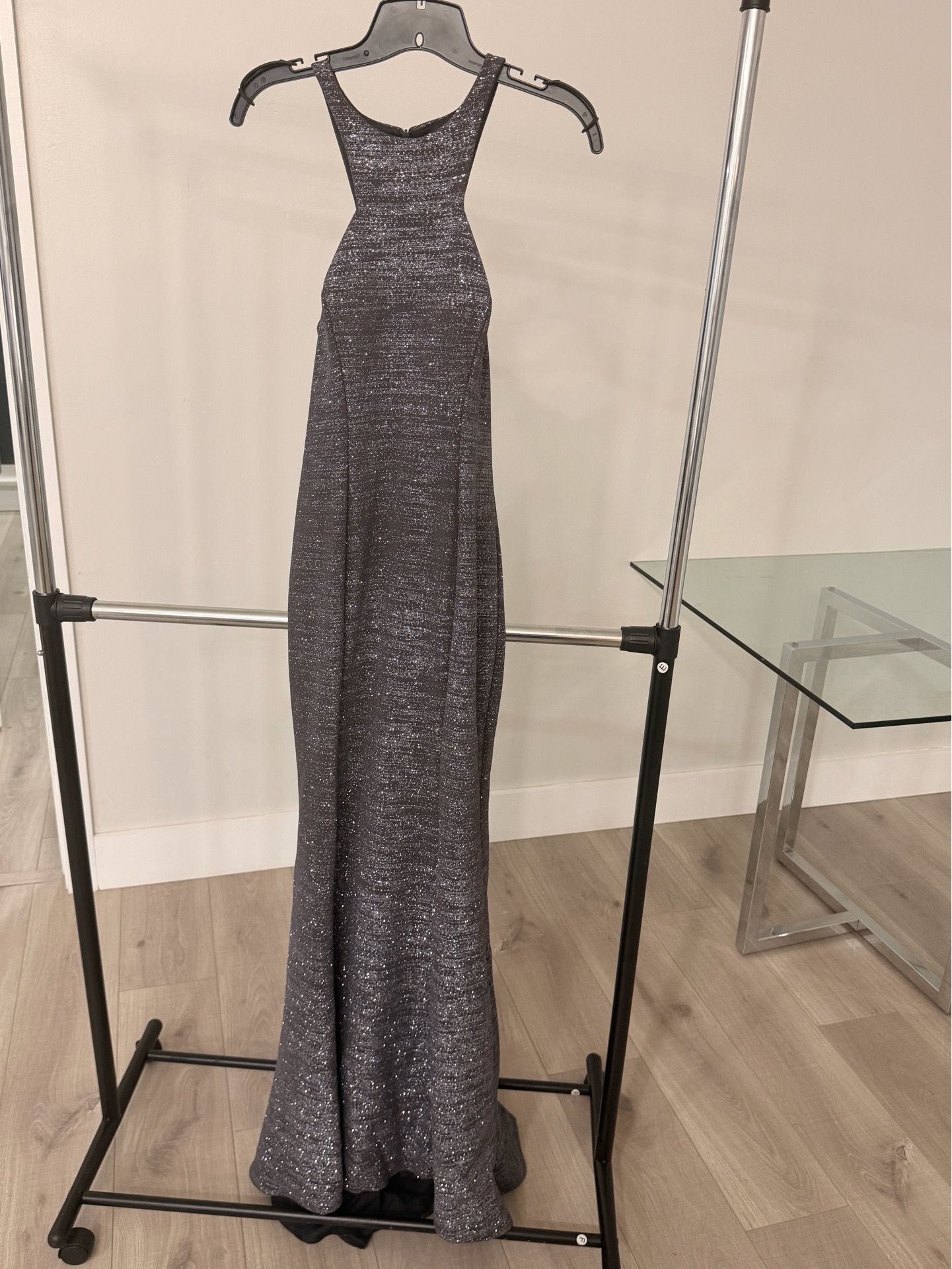 Shiny Dress