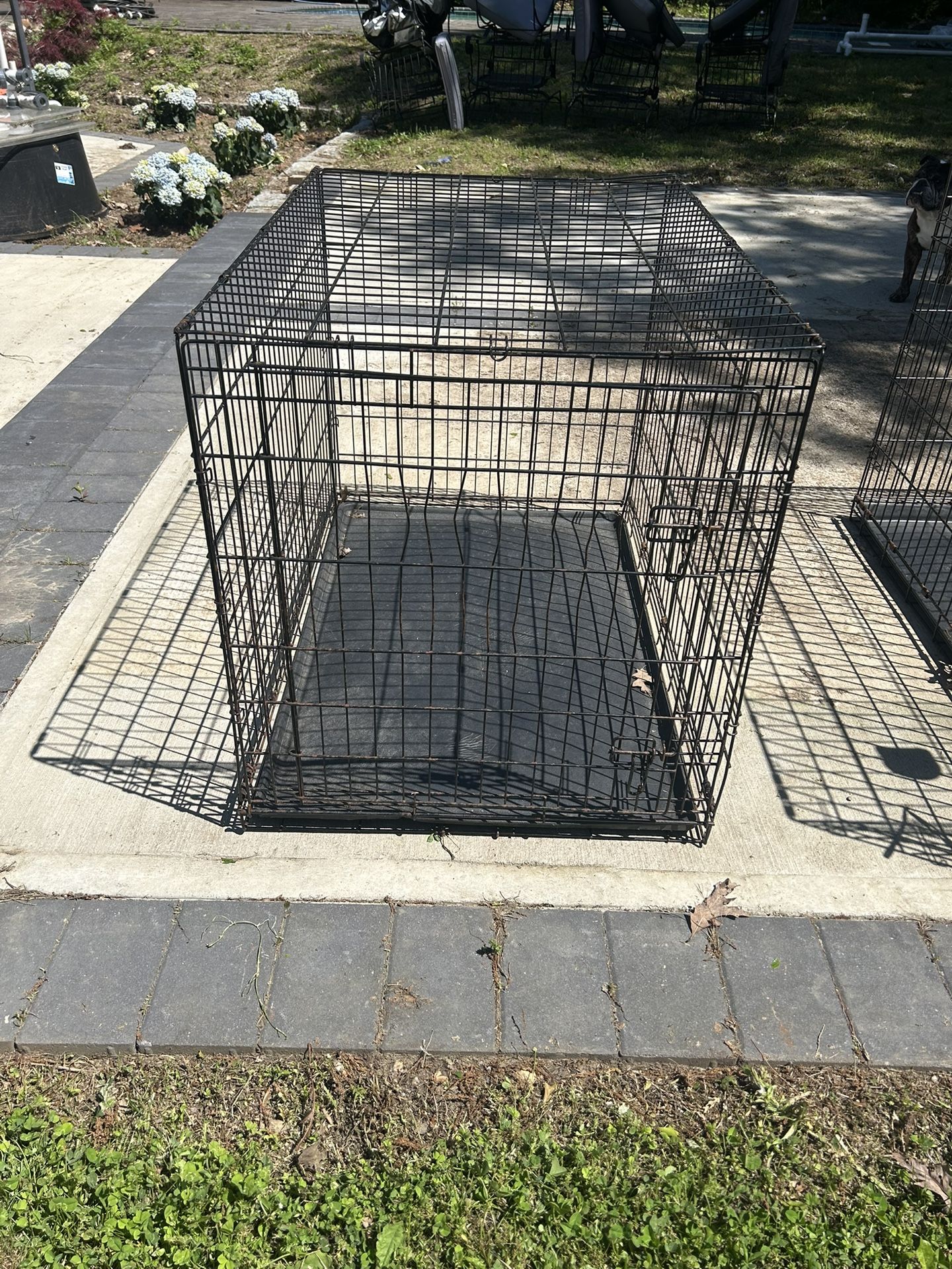 2 Dog Cages