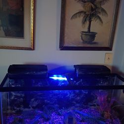 Make A Offer Fish Tank Or Snake Or Turtle Tank