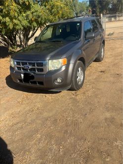 Ford escape