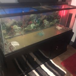 Fish Tank For Sale Fish tank for sale