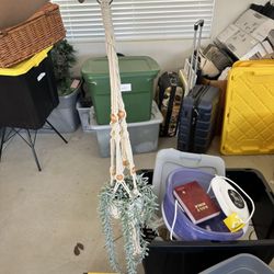 plant holder with plant