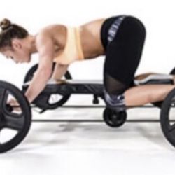 BullFrog Pro Training System – Full Kit – Portable Gym – Like New