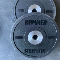 Bumper Plates 2 55 Pounds 